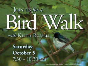 Keith Russell bird walk october 5