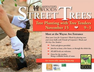 Fall 2015 FOCW street tree planting